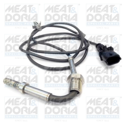 Sensor, exhaust gas temperature